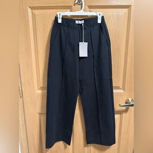 Everlane The Wide Leg Dream Pant (NWT) Size Small